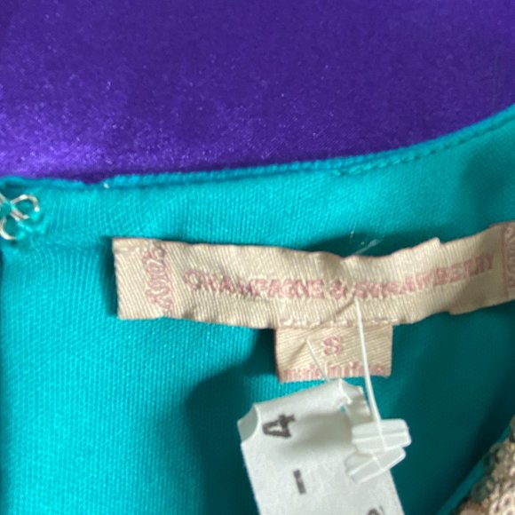 ๐Champagne & Strawberry - Anthro Anthropologie Sequin Mini Semi Formal Dress - Picture 14 of 15